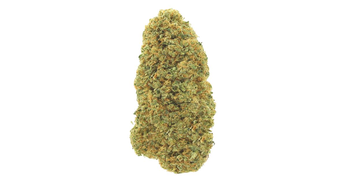 1481-amnesia-nr-7.og.jpg