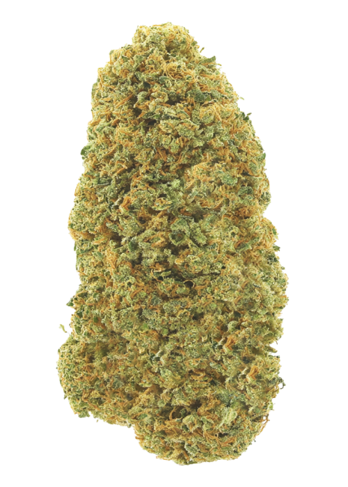Amnesia Nr. 7