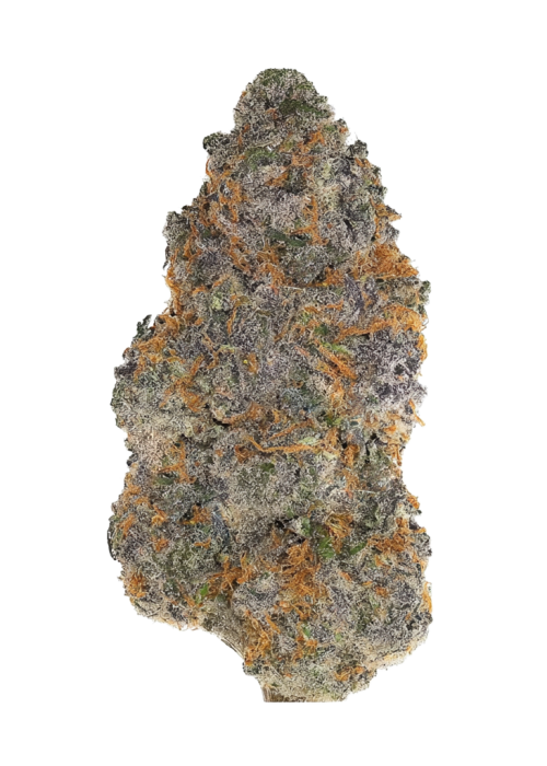 Biscotti Gas