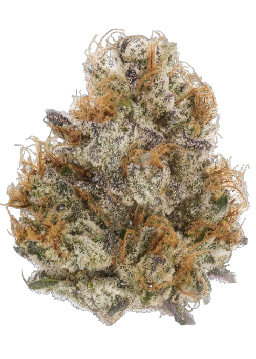 Permanent Kush