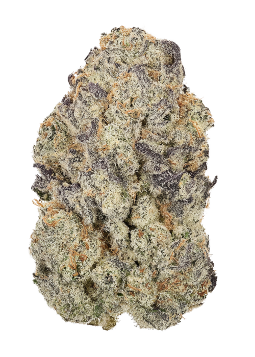 Blueberry Purp