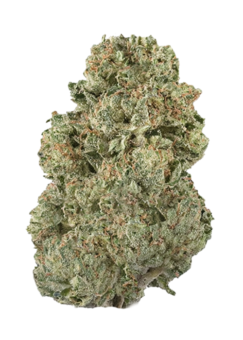 Blue Magic by Wizard Trees