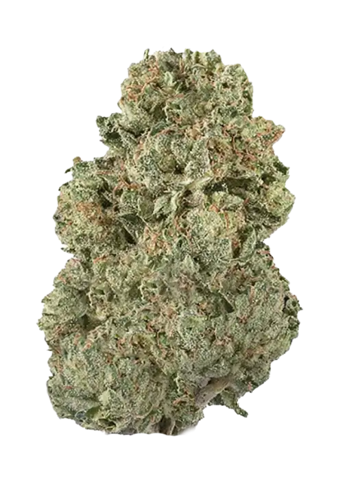 Blue Magic by Wizard Trees