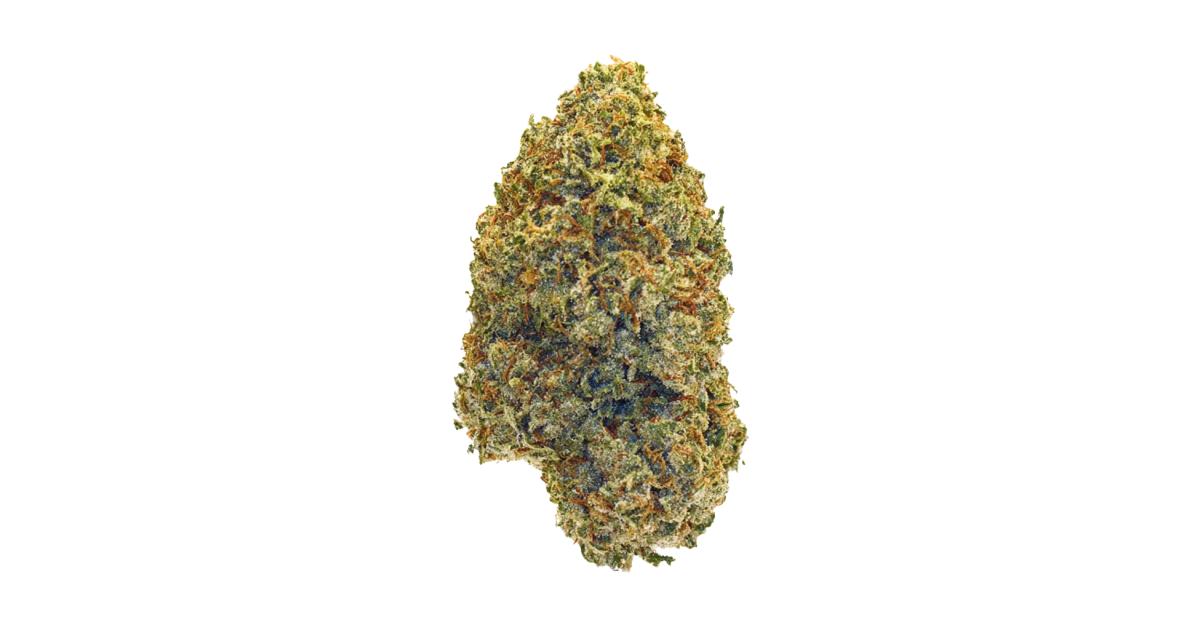 6397-zamoza.og.jpg