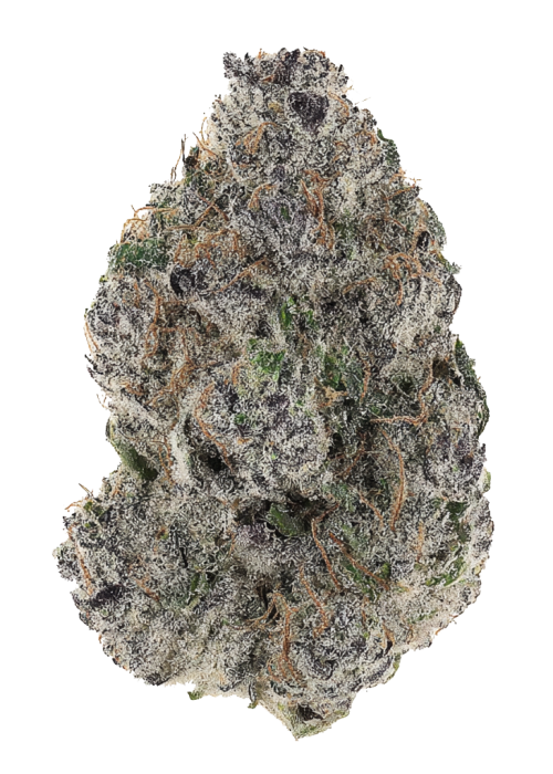 Gelato Gas