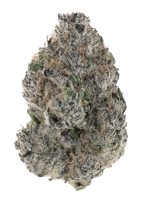 Gelato Gas