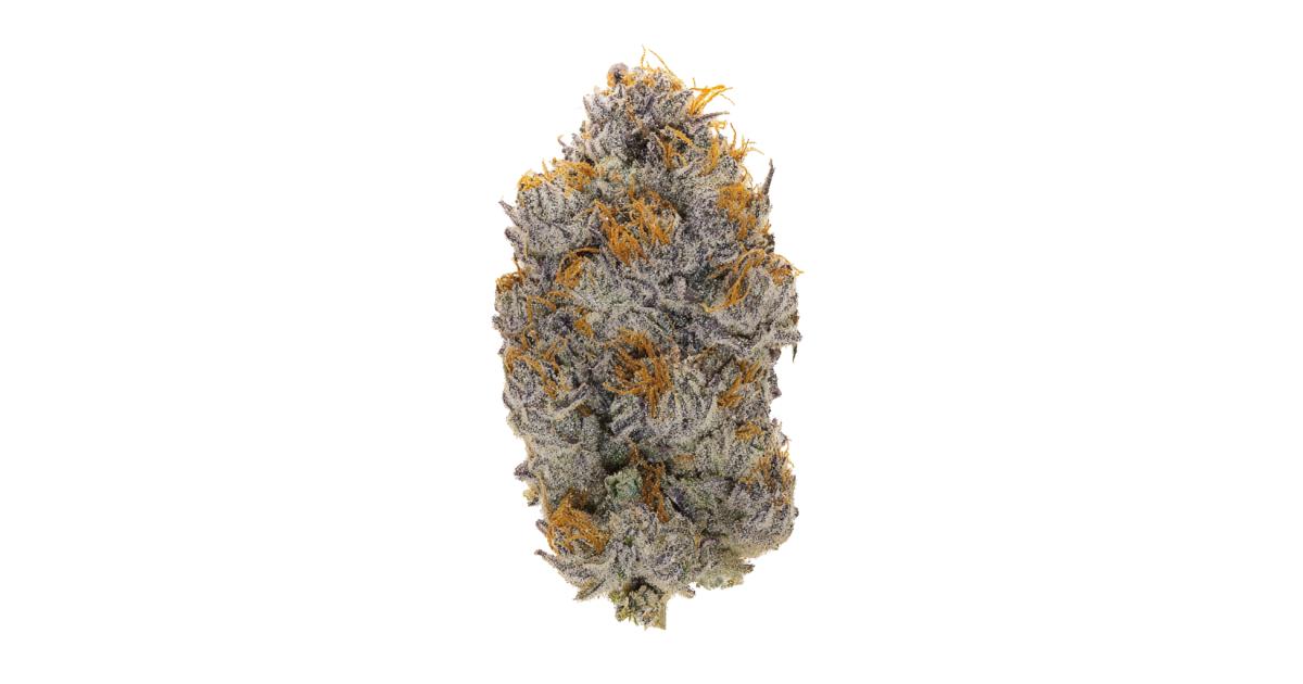 2982-nitro.og.jpg