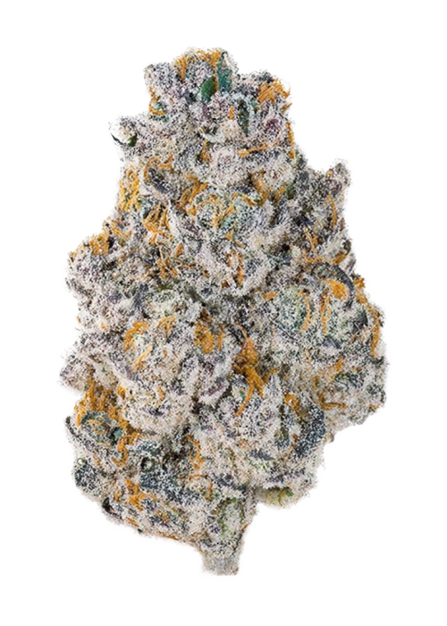 I-95 x Permanent Marker