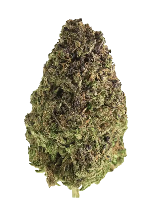 Ed Rosenthal's Super High Life