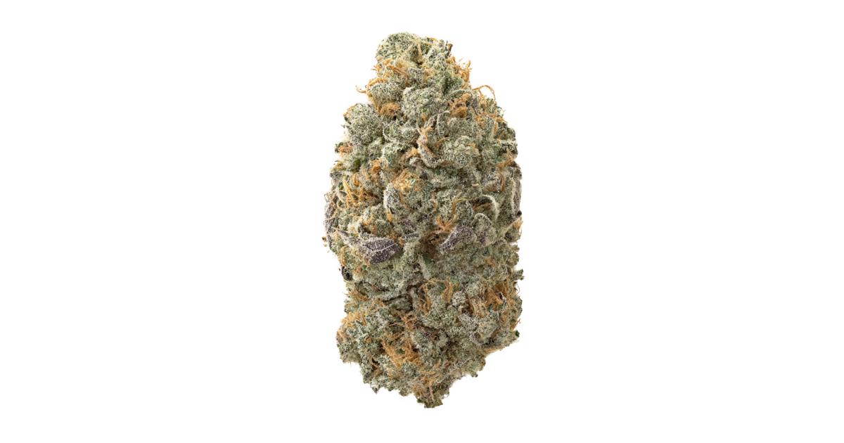 Presidential Runtz Strain Allbud