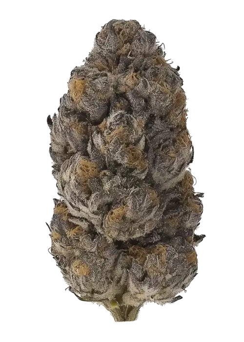 Hawaiian Runtz