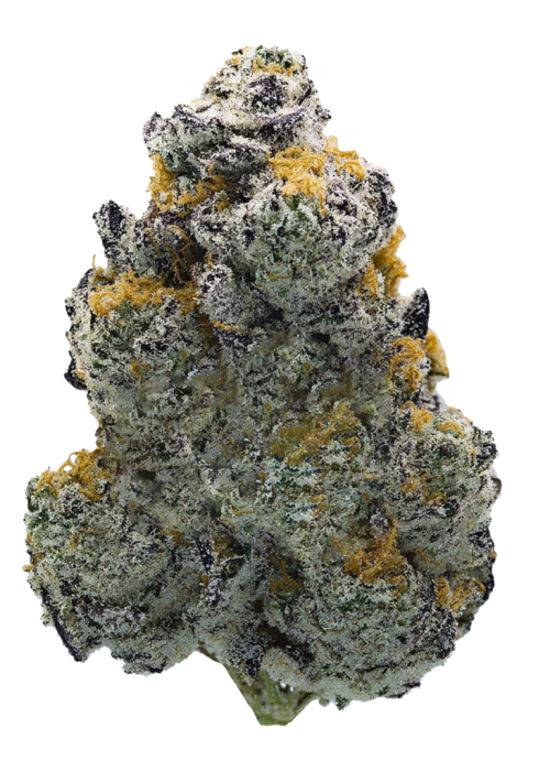 Gasberry