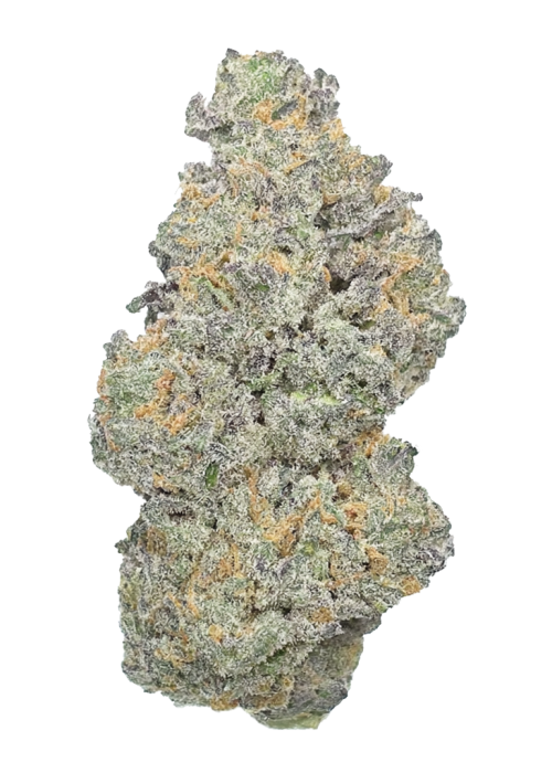Electric Cherry