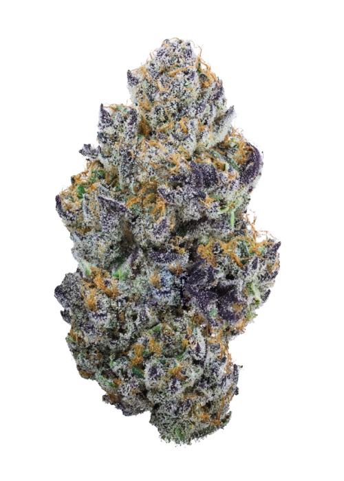Platinum Zurkle