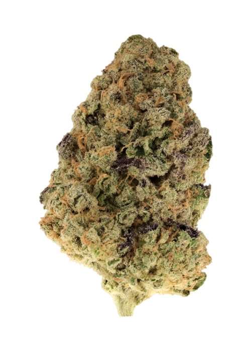 Blueberry Urkle