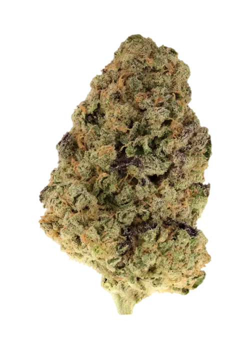 Blueberry Urkle