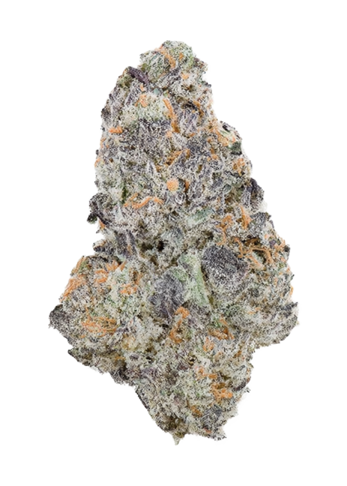 Blueberry Bliss