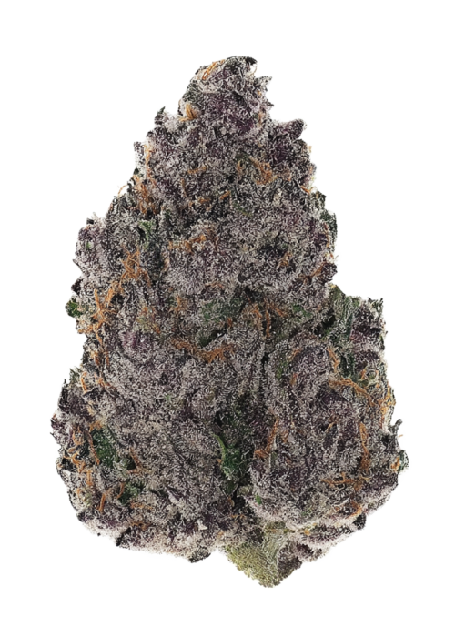 Black Cherry Bliss