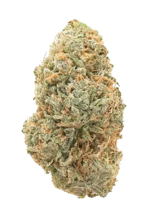 Mississippi Half Step