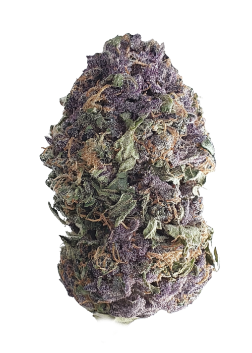 Purple Honey