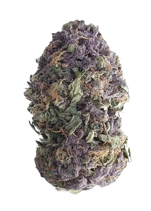 Purple Honey