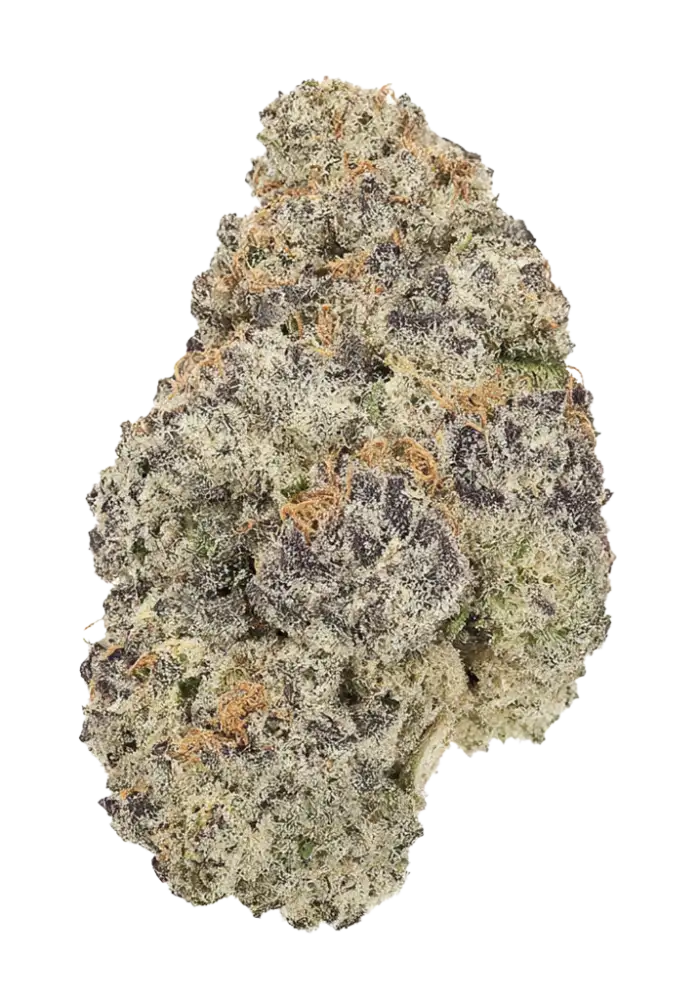 Slurricane #7 S1