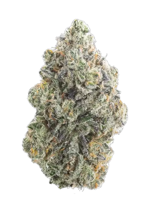 SoCal Pure Reunion OG