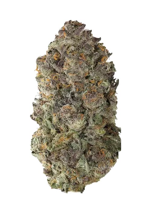 Sour Fruit