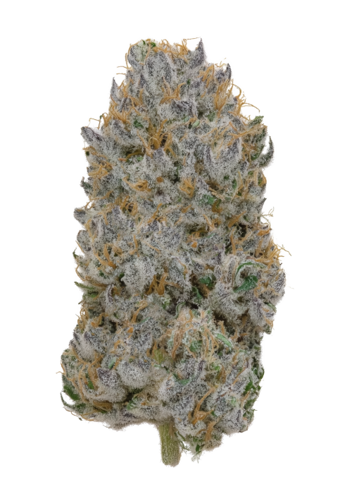 Nutter Butterz
