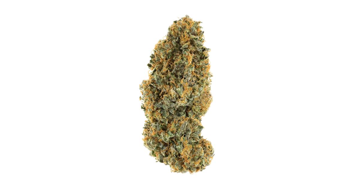 london-loud-cannabis-strain-information-growdiaries
