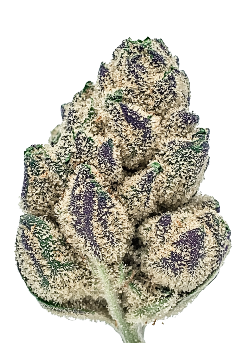 Gas Truffle