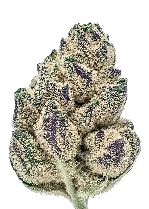 Gas Truffle