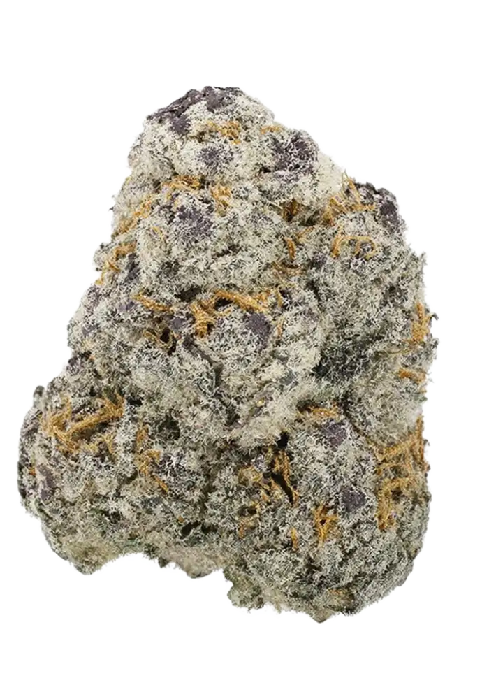 Fresca Lemon LTD Cannabis Strain Information - GrowDiaries