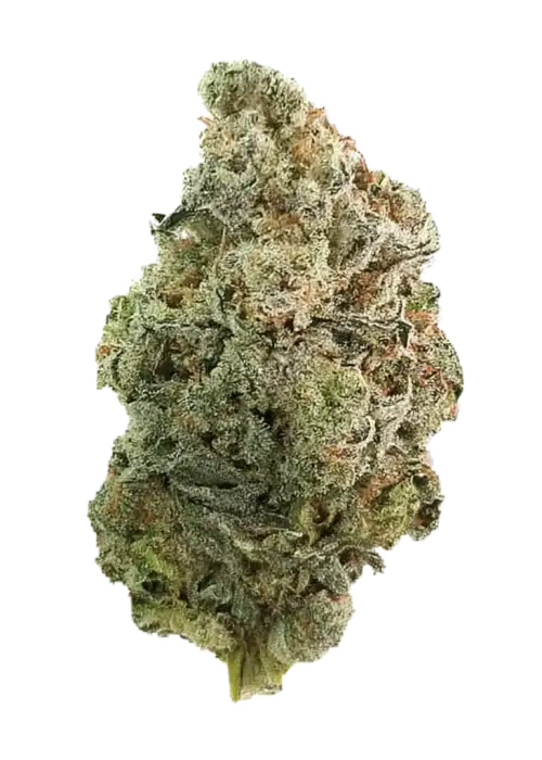 Karma Sour Diesel Bx2
