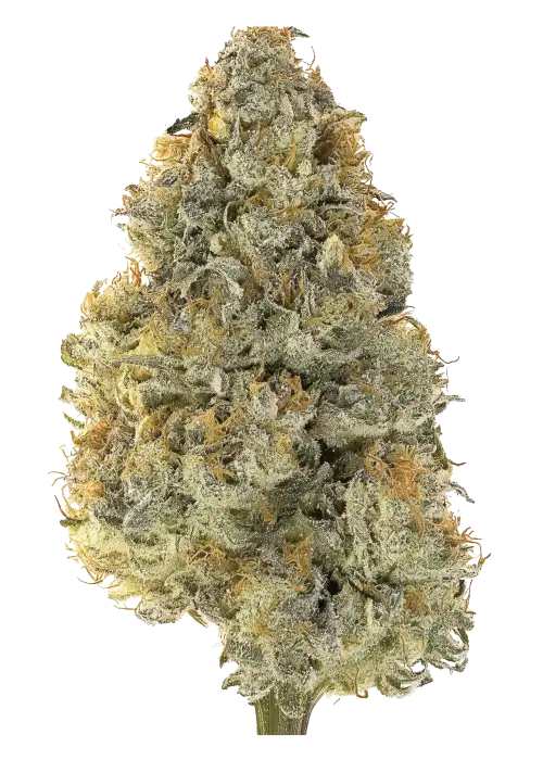 Zatomic