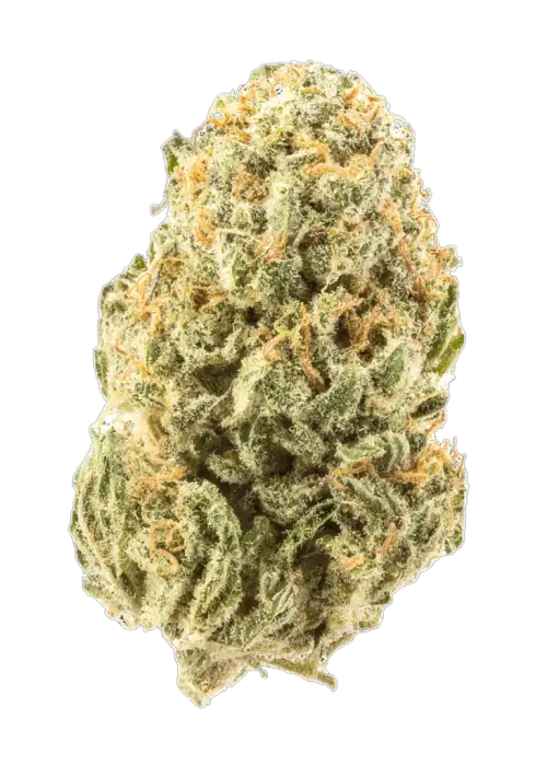 Where’s My Bike V2.0