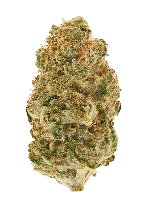 Sour Sherbet