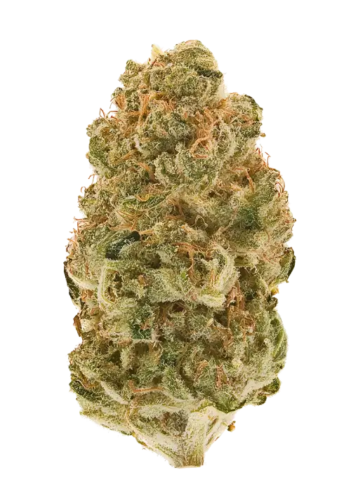Sour Sherbet