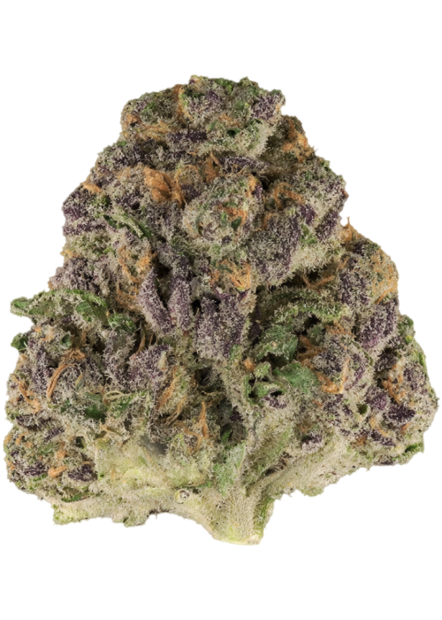 Black Cherry Urkle