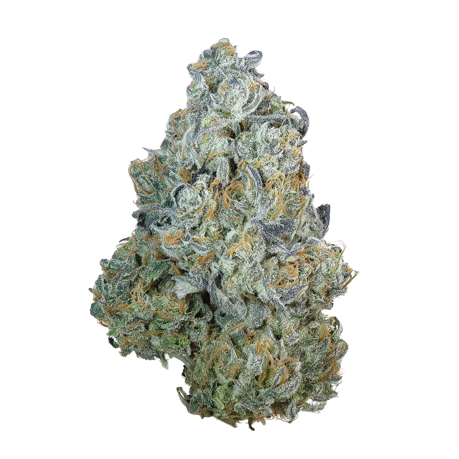 Grape Squeeze Cannabis Strain Information - GrowDiaries