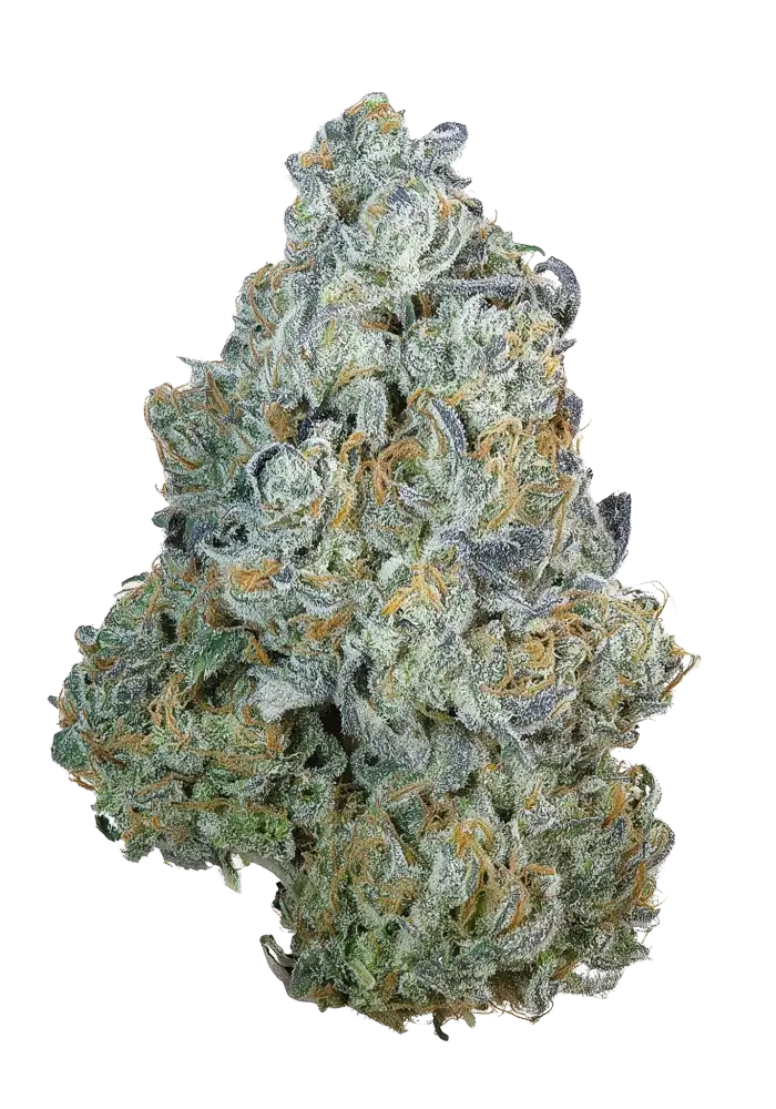 Grape God Cannabis Strain Products - GrowDiaries