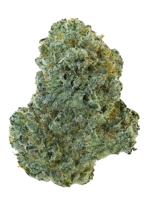 Slightly Stoopid Fruits