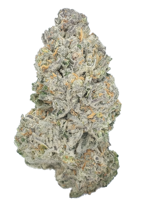 Papaya Bang Bang
