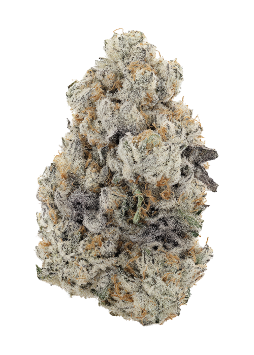 Crème de la Crème by Team Elite Genetics
