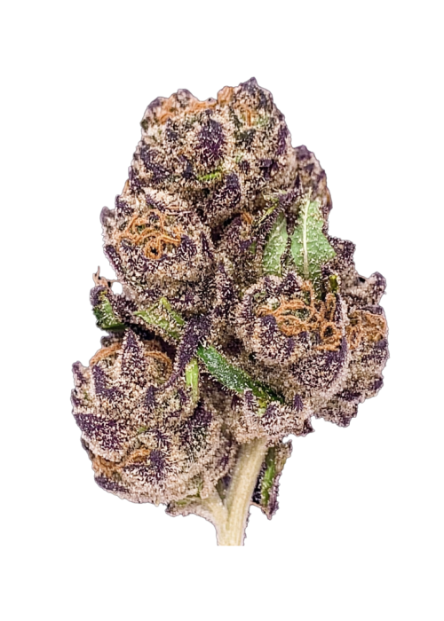 Purple Crack
