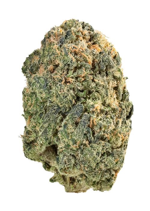 Purple Lemonade
