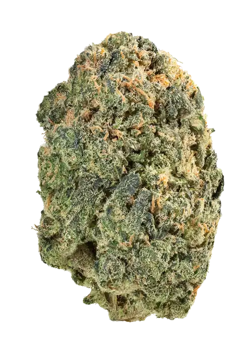 Purple Lemonade