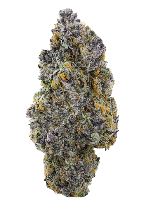 Ring of Sour