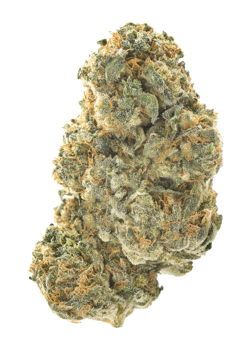 Stellar OG