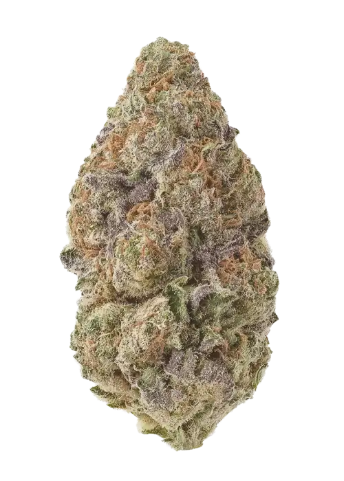 Pink Gas